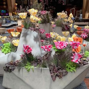 Meet your Posher, Bobby